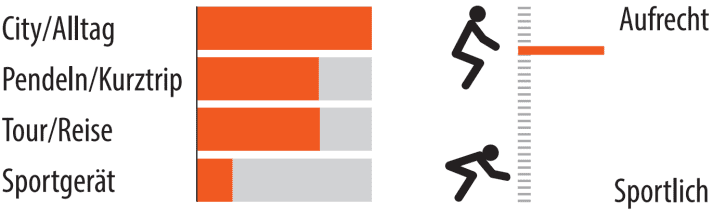 Einsatzbereich und Sitzposition des Diamant Rubin Legere