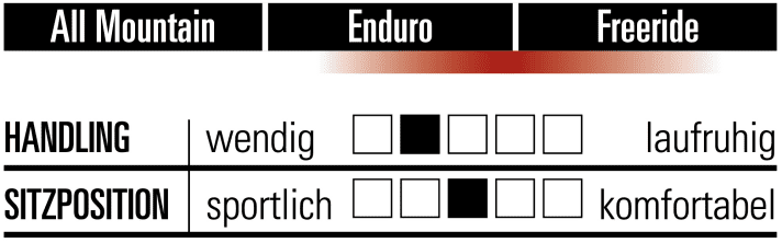 Specialised Status 160 - Characteristics