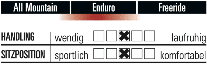 YT Capra 29 Core 2 - Characteristics