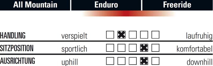   Zerode Taniwha Getriebe-Bike