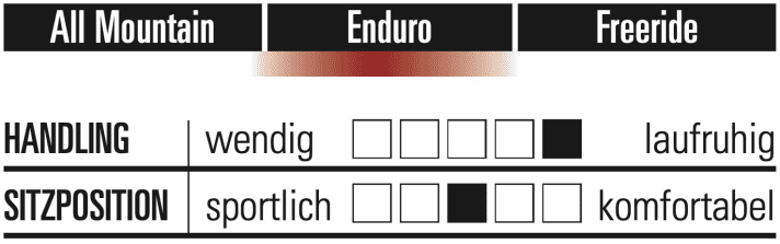 Canyon Strive CFR TLD - Characteristics