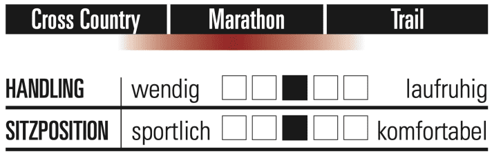 Celtic Chadh Race - Characteristics