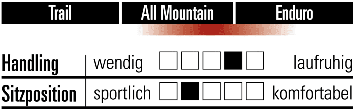Trek Fuel EX 9.9 AXS - Charakteristik 