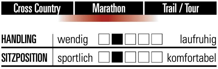 NS Bikes Eccentric Lite 1 - Charakteristik
