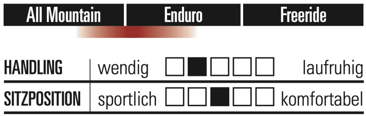 Transition Patrol Mullet CF GX - Characteristics