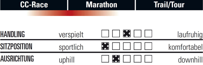   Cube AMS 100 C:68 29 Race