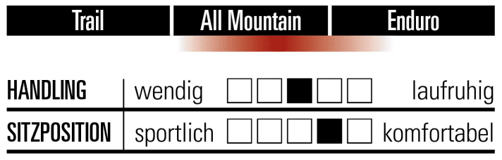 Ibis Ripmo V2S - Charakteristik