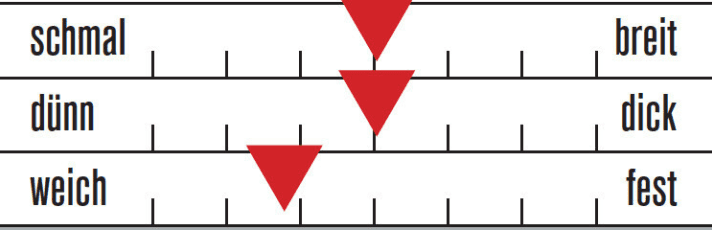   Sitzpolster Gore Bike Wear Element Bib Short+