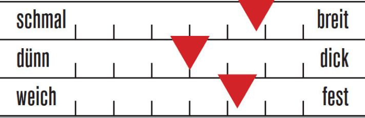   Seat pad Specialised Pro Bib Short