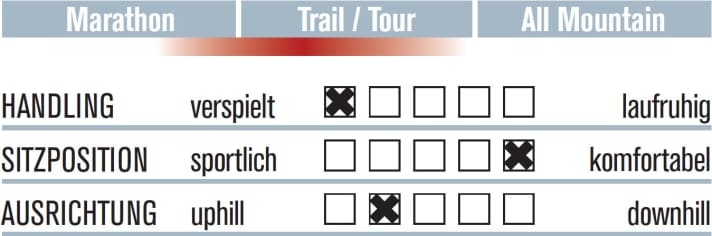 Canyon Nerve AL 9.0 SL WMN