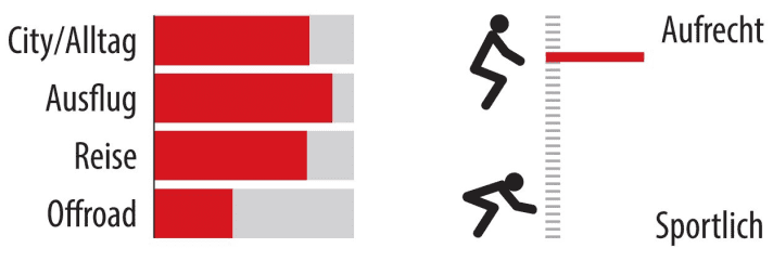 Einsatzbereich und Sitzposition des Bergamont