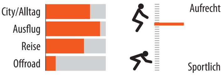 Areas of use and seating position of the Bico Falter E 10.0