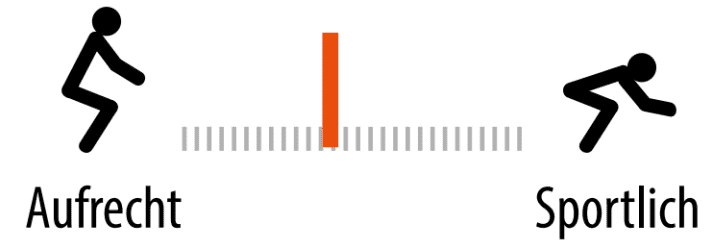 Sitzposition des Pegasus Premio SL Disc 27