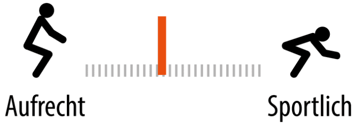 Seating position of the Diamant Elan Deluxe