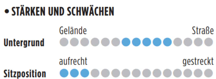 Stärken und Schwächen vom Cannondale Synapse Neo Allroad 1