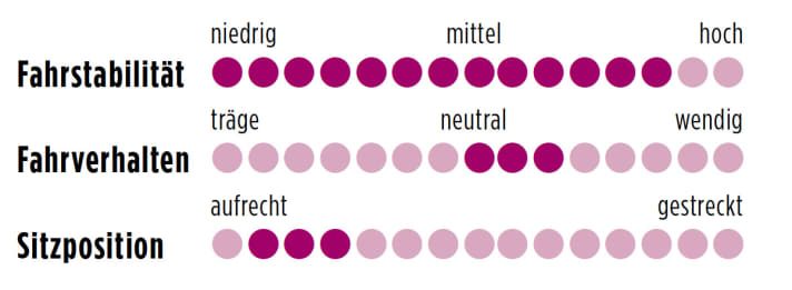 Specialized Dolce Comp 2014 Punkte