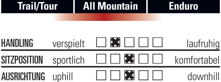   Rotwild R.X1 FS Comp