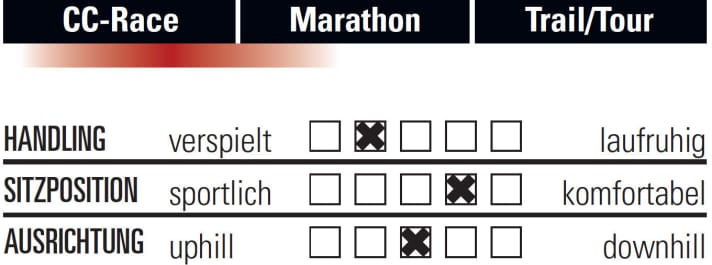   Radon Jealous 9.0 SL