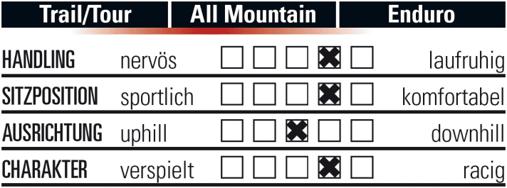   This is how the Propain Tyee AM Carbon Free rides on the trail.