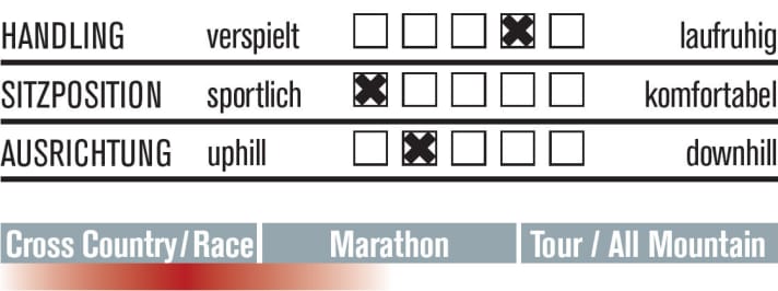   Die Bewertung des Look 989