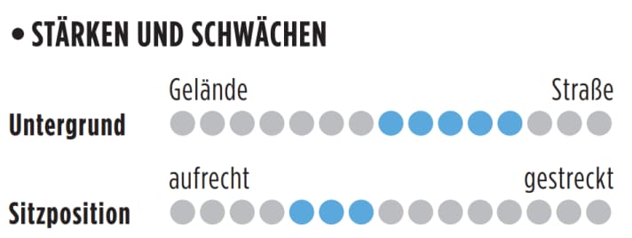 Vorteile und Nachteile des Rose Reveal Plus 105