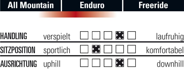   So fährt sich das Trek Remedy 9.7.