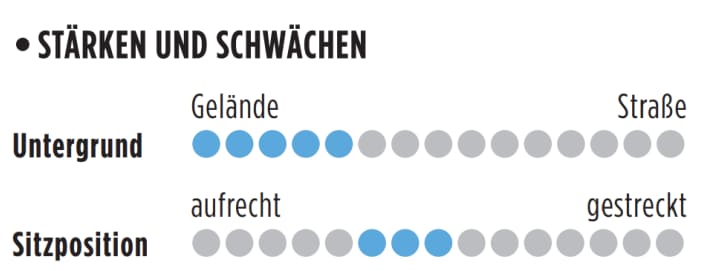 Vorteile und Nachteile des Storck e:Grix Pro