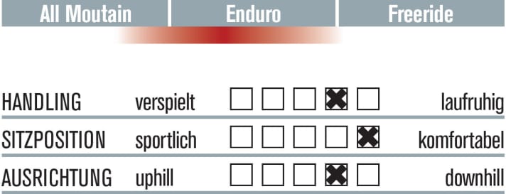   Cube Stereo C:68 Action Team