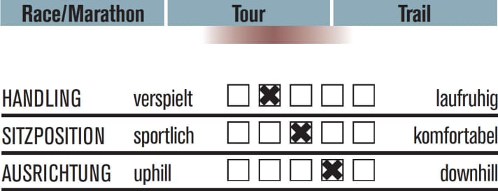   Cannondale Beast of the East 3