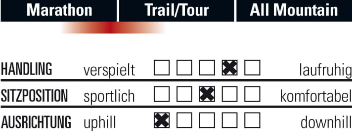   Bergamont Contrail 7.0