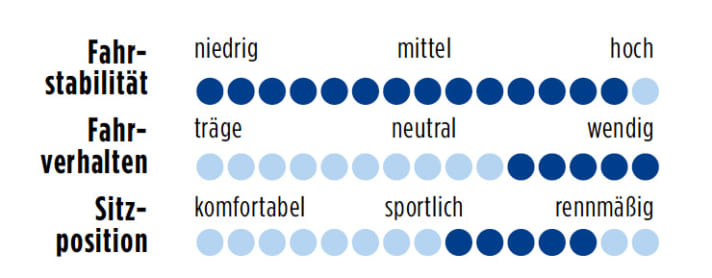 Haibike Speed SL 2012 Punkte