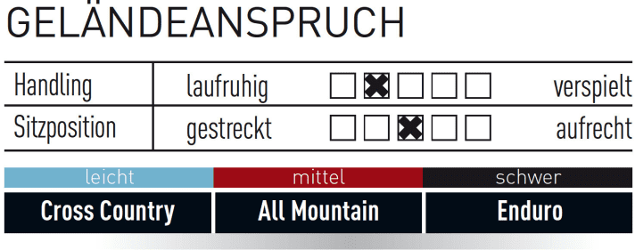   Riese & Müller Delite Mountain