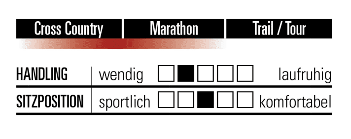   Character and riding characteristics of the Cube Elite at a glance.