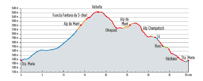 Watch out for bearded vultures in the sky in Valbella!