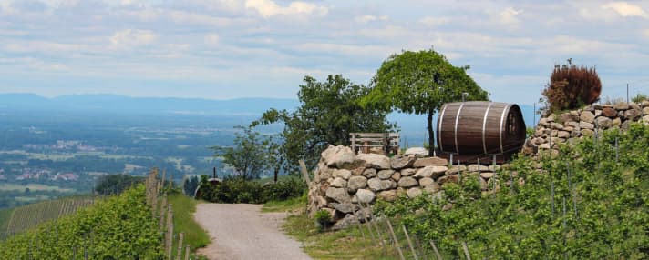   Schlafen im 8000 Liter großen Weinfass in Sasbachwalden.