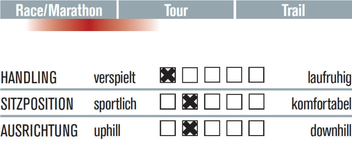   Bulls Copperhead 3 RS