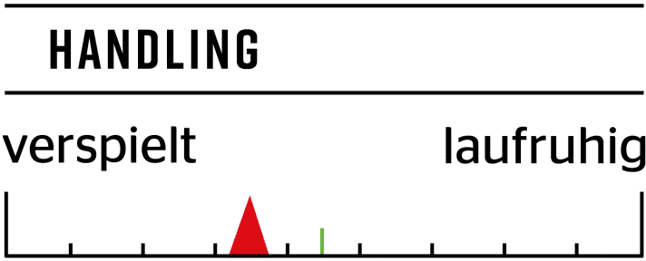  FREERIDE recommendation for the Canyon Torque CF 9 29