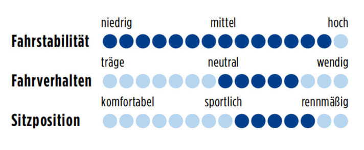 Haibike Affair SL 2012 Punkte