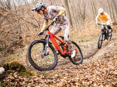 Avinox M2S geht auch günstig!