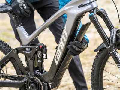 Graue Maus oder goldene Mitte?