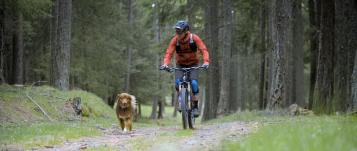 Biking with a dog is not only a lot of fun, but also a lot of work and responsibility.
