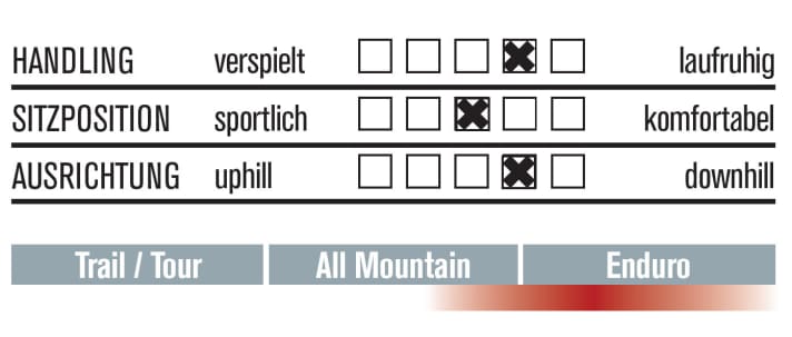   Pole Evolink 140 29 EN