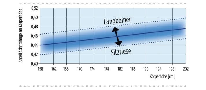 The ratio of stride length to upper body can vary greatly. People with long legs tend to need a rather short road bike frame (so-called long-legged riders). So-called sitting giants (with a long torso) are better off with a longer road bike frame.