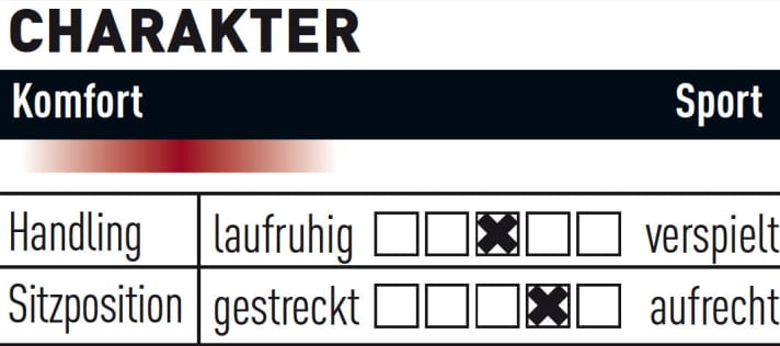  Corratec E-Power X Vert 29
