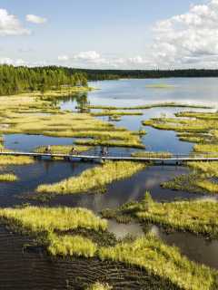 Bikepacking Finnland 