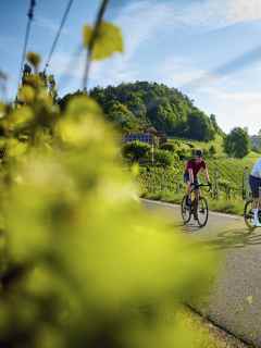 Rennratouren in der Steiermark