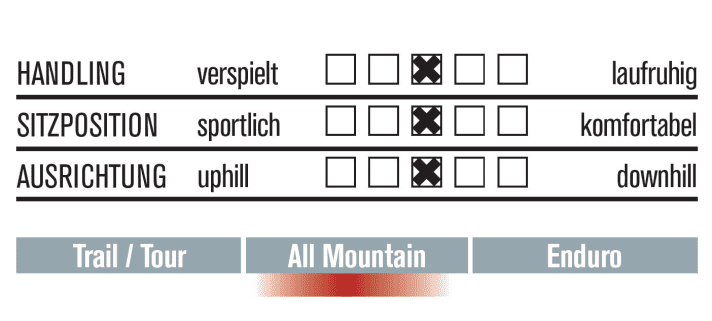   Bergamont Trailster 6.0