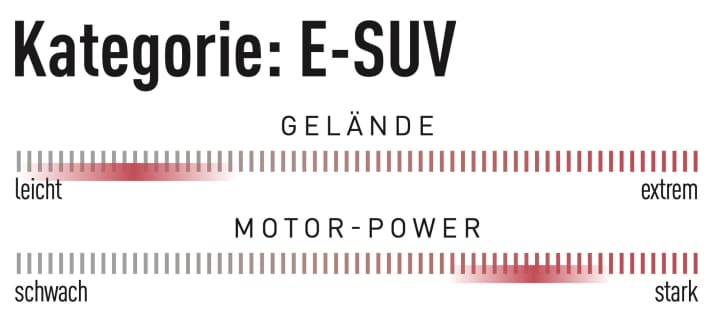 SUVs are designed for easy terrain rather than difficult trails, but they should also score points in everyday use. The motors are usually classic e-MTB drives with up to 90 Newton metres. Cheaper models, like the one in this test, have less power.