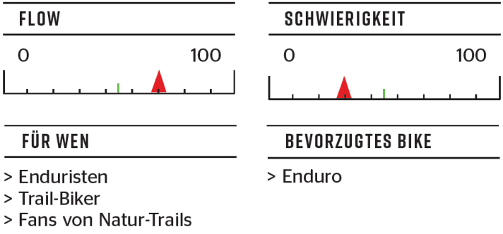   Flow-Versuch: der Bergkastel-Trail