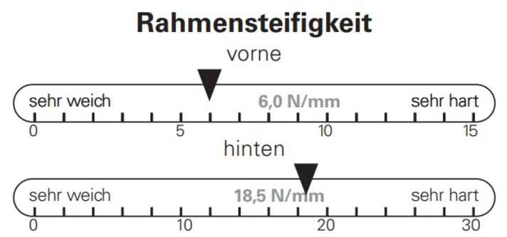 Bei der Rahmensteifigkeit schneidet das Pinarello Dogma XC gut ab.